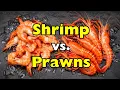 Shrimp vs Prawns What s the Real Difference