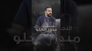 منذر العلو ذيب ولحمي مر 