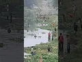 Download Lagu orang pinggir bengawan solo pasti tau ini☝️