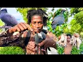 Download Lagu Insane Accuracy! Slingshot vs White Crowned Pigeon