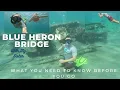 Blue Heron Bridge Snorkeling-Know Before You go