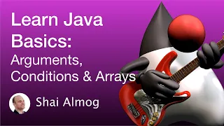 Java Basics - Arguments Conditional statements Arrays Java Course