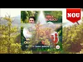 Download Lagu 3 ORE  cu NINA PREDESCU si VASILE CIOBANU NOU