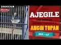 Download Lagu AJEGILE!!! CIBLEK Juara Nasional Raih Hattrick Meski ANGIN TOPAN Menghantam Perlombaan