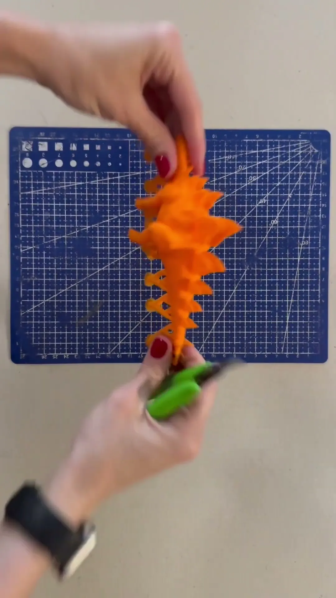 Stegosaurus