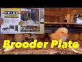 Producer s Pride Tractor Supply Brooder Plate Review
