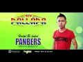 Download Lagu DEEN ASSALAM~GERY MAHESA NEW PALLAPA PANBERS(PAYANG BERSATU)