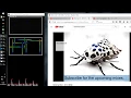 Live-Audio-Visualization e g Spielbudenplatz LED Screen Processing