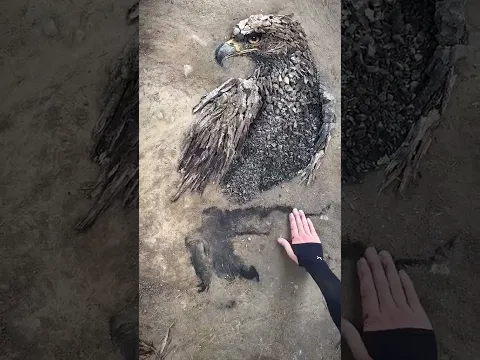 Nature Creates Art | Eagle