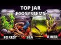 I Put Rivers Seas and Forests in Jars Months Later THIS Appeared