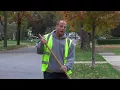 Leaf Collection