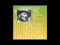 Download Lagu Mance Lipscomb  -  Songster. The Blues Collection (Full Album) MP3