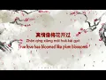 一剪梅 Yi Jian Mei [费玉清 Fei Yu-Ching/ Fei Yu Qing] - Chinese, Pinyin & English Translation