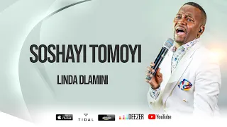 linda dlamini soshayi thomoyi