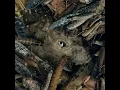 Hessian - Ascension