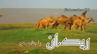 ريدان يا أرض اللبان                دندنها