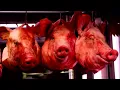 Carcass - Kelly's Meat Emporium [guitar cover]