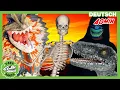 Lagu Die Legende vom Unglücks-Knochen - Halloween-Kostüm-Wettbewerb| T-Rex Ranch - Dinosaurier für Kinder