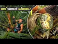Lagu Toddy tapping | കള്ള് ചെത്തൽ | Step by Step Process of Toddy Tapping in Kerala | Ep - 2 | Kerala