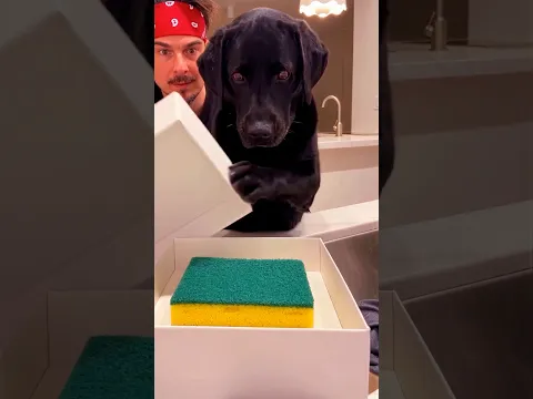 GIFT for my DOGππβ€οΈπ
