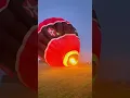 Download Lagu Nightflight #hotairballoon #hotairballoon #ballonvaren#adventure#heteluchtballon#instatravel#tulips
