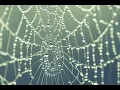 Webinar Cognitive Task Analysis in Practice Exploring Methods