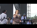 Download Lagu stecu stecu ala niken salindri cs mayangkara