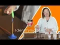 Identifying Ions - GCSE Science Required Practical