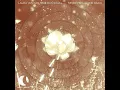 Never Feel Alone Again (Extended Mix)