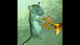 مزمار العصفور من الفار 