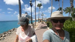 17.  Pitou’s voyage A brand new Pitou