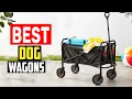Top 5 Best Dog Wagons for Carting Canines in 2025