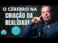 Download Lagu O CÉREBRO NA CRIAÇÃO DA SUA REALIDADE (PARTE 02) Com Dr. Joe Dispenza