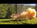 Tree explosion