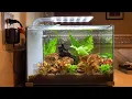 TOPFIN 5 Gallon Tank Review