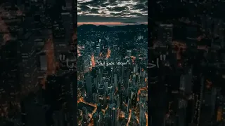 ع المولي كنت سايبها 