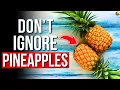 8 Health Benefits of Pineapple Why You Should Eat Pineapples Often
