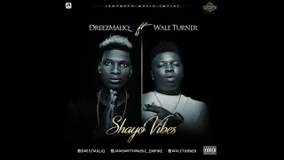 shayo vibes picture video