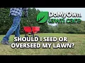 How to Know If You Should Seed or Overseed Your Lawn This Fall DoMyOwn com