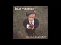 Blue Meanies - It Doesn't Matter