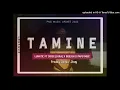 Tamine (2022)-Beejoh ft Lunatic x 3Dise(Jura) x Papu Meiz(Tasik Yard)