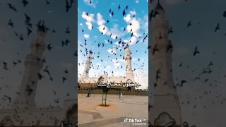 انسانيون لنا هدف نهطل غيثا نبني قيما 