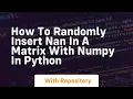 how to randomly insert nan in a matrix with numpy in python