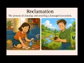 What is Reclamation - Easy to Understand