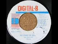 Sizzla - No Time to Gaze (1996 age20)