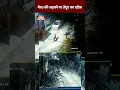 Download Lagu मेरठ की सड़कों पर तेंदुए का खौफ़ #shorts