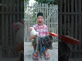 Lagu makan pake ayam
