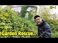 Download Lagu Rescuing Peggy's Garden.. After A NINE Year Bramble Invasion! Ep1