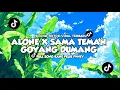 Download Lagu DJ ALONE X SAMA TEMAN GOYANG DUMANG VIRAL TIK TOK TERBARU 2024 [ Felik Fvnky ]