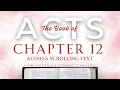 The Book of Acts Chapter 12 NIV
